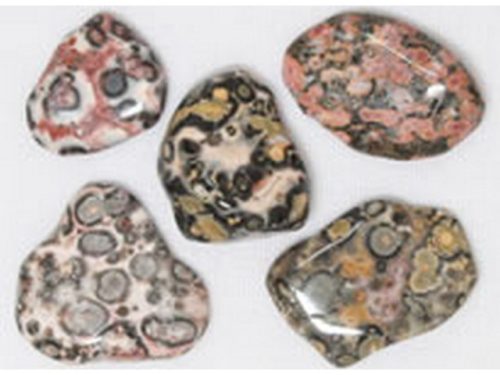 Leopard Skin Jasper