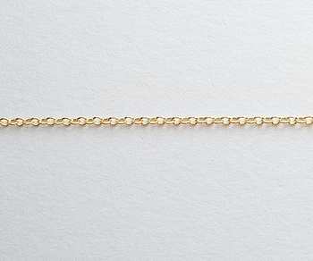 14 KT Gold Filled Chain/ Foot