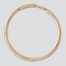 EL24F GOLD EAR HOOP EARWIRE