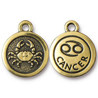 94-2473-26 CANCER CHARM