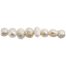 FWP PEARLS