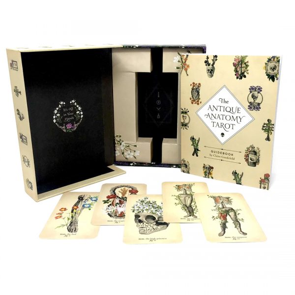 ANTIQUE ANATOMY TAROT