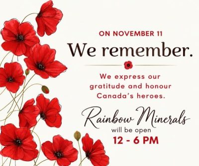 Remembrance Day Poppy Tribute